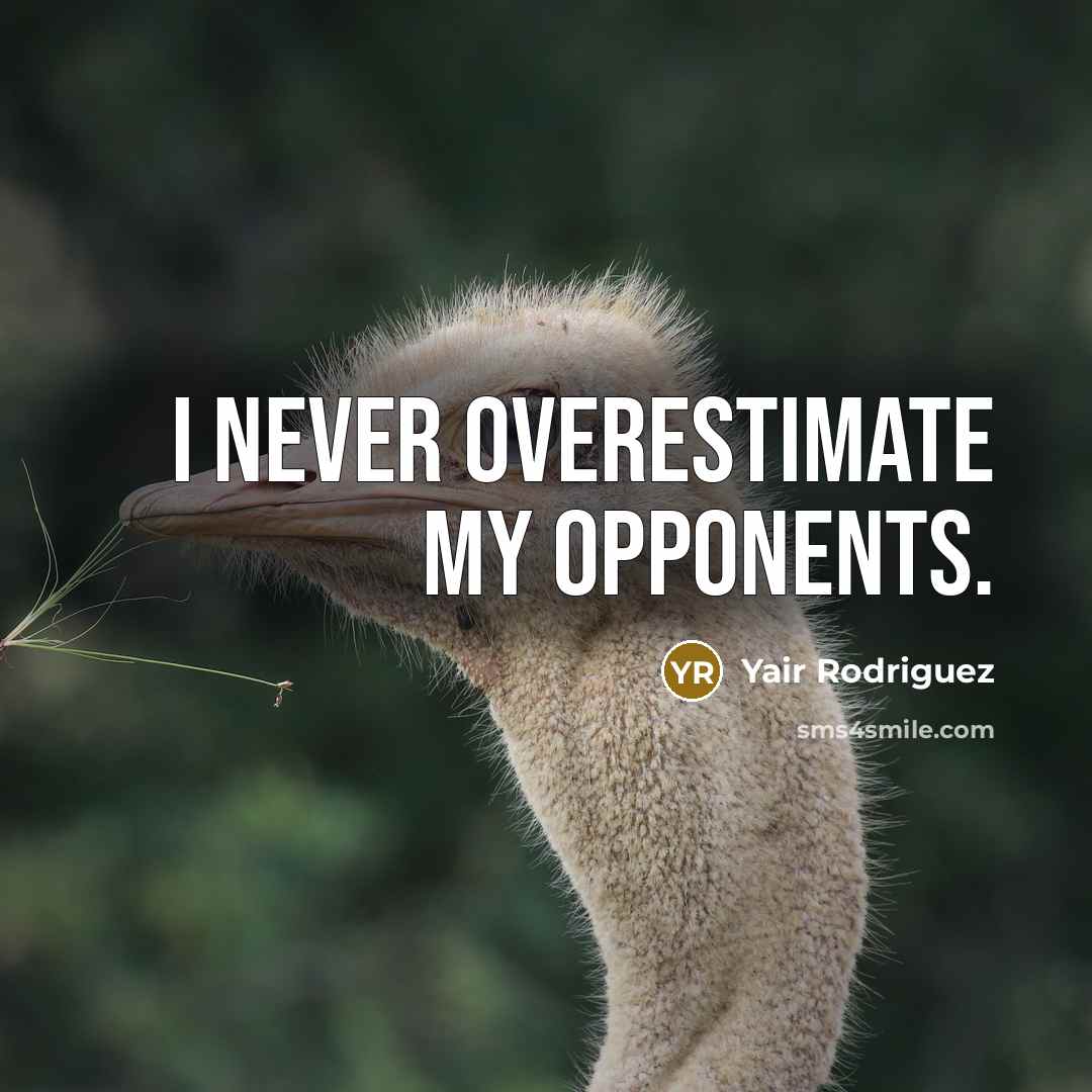 “I never overestimate my opponents.” quote by Yair Rodriguez
