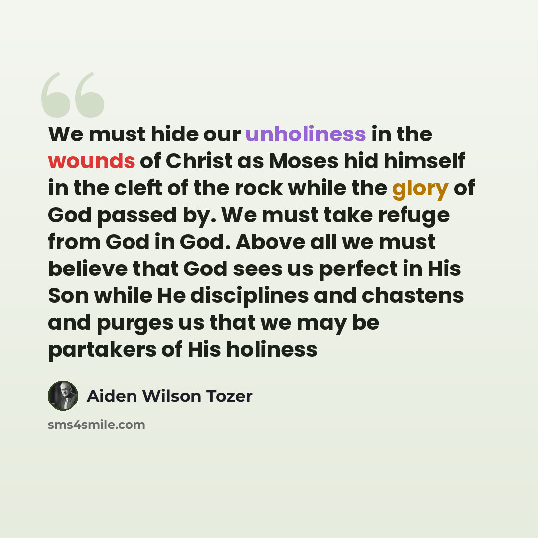 “We must hide our unholiness in the wounds of Christ as Moses hid himself in the cleft of the rock while the glory of God passed by. We must take refuge from God in God. Above all we must believe that God sees us perfect in His Son while He disciplines and chastens and purges us that we may be…” quote by Aiden Wilson Tozer