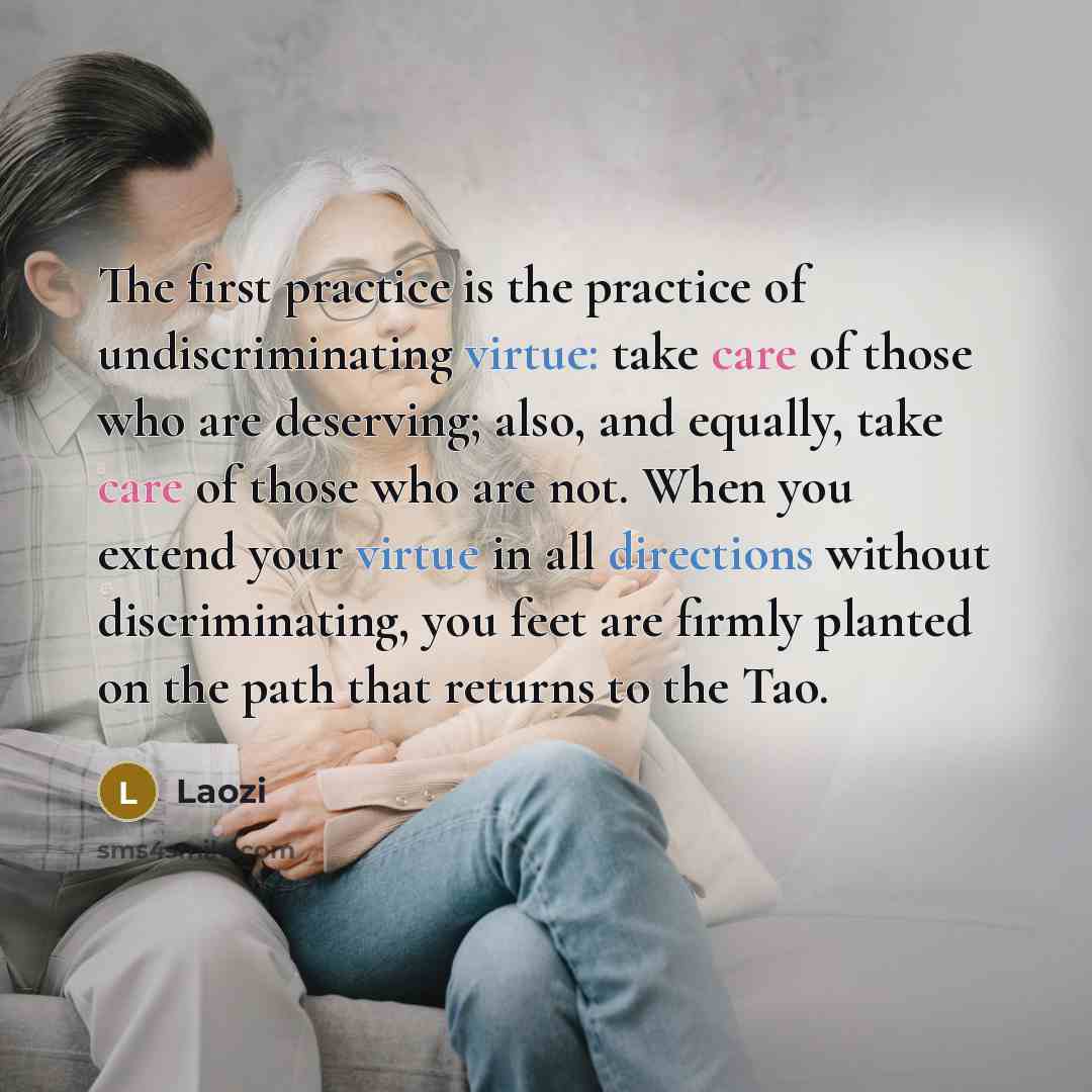 “The first practice is the practice of undiscriminating virtue: take care of those who are deserving; also, and equally, take care of those who are not. When you extend your virtue in all directions without discriminating, you feet are firmly planted on the path that returns to the Tao.” quote by Laozi