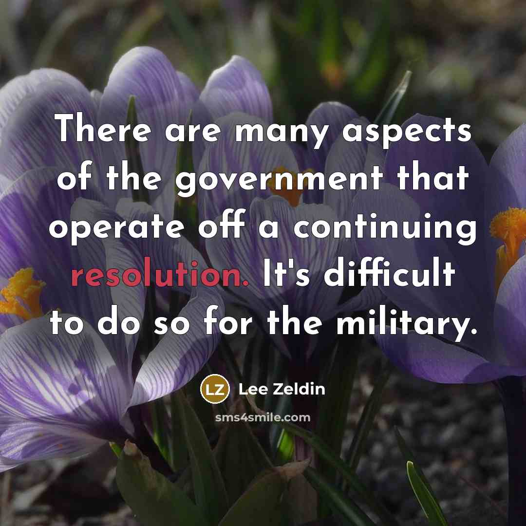 “There are many aspects of the government that operate off a continuing resolution. It's difficult to do so for the military.” quote by Lee Zeldin