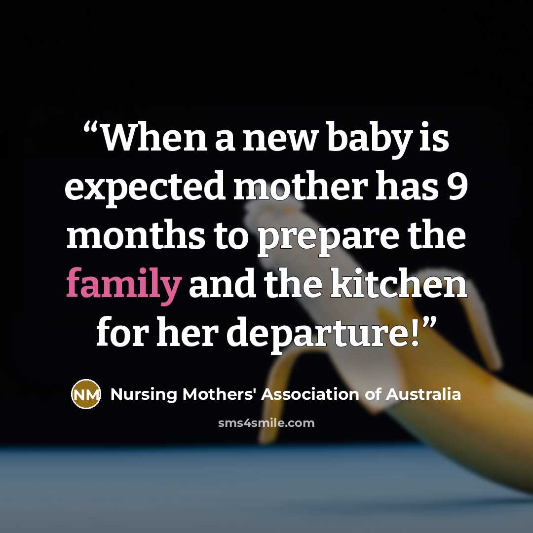 “When a new baby is expected mother has 9 months to prepare the family and the kitchen for her departure!” quote by Nursing Mothers' Association of Australia