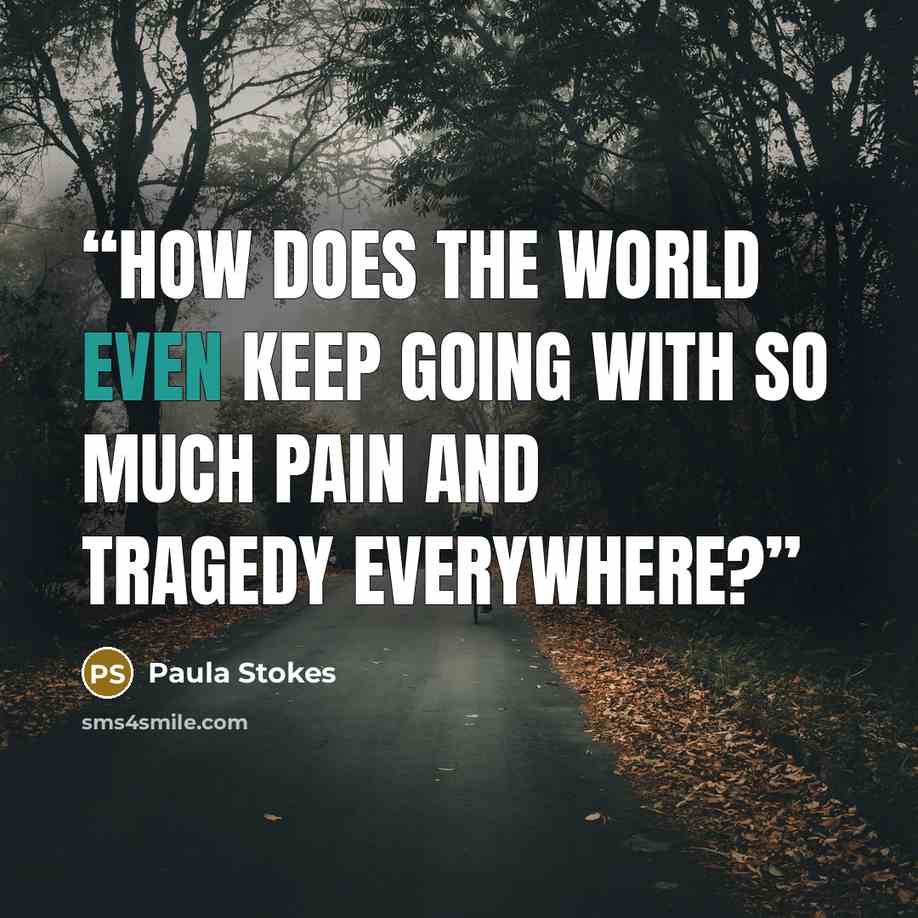 “How does the world even keep going with so much pain and tragedy everywhere?” quote by Paula Stokes