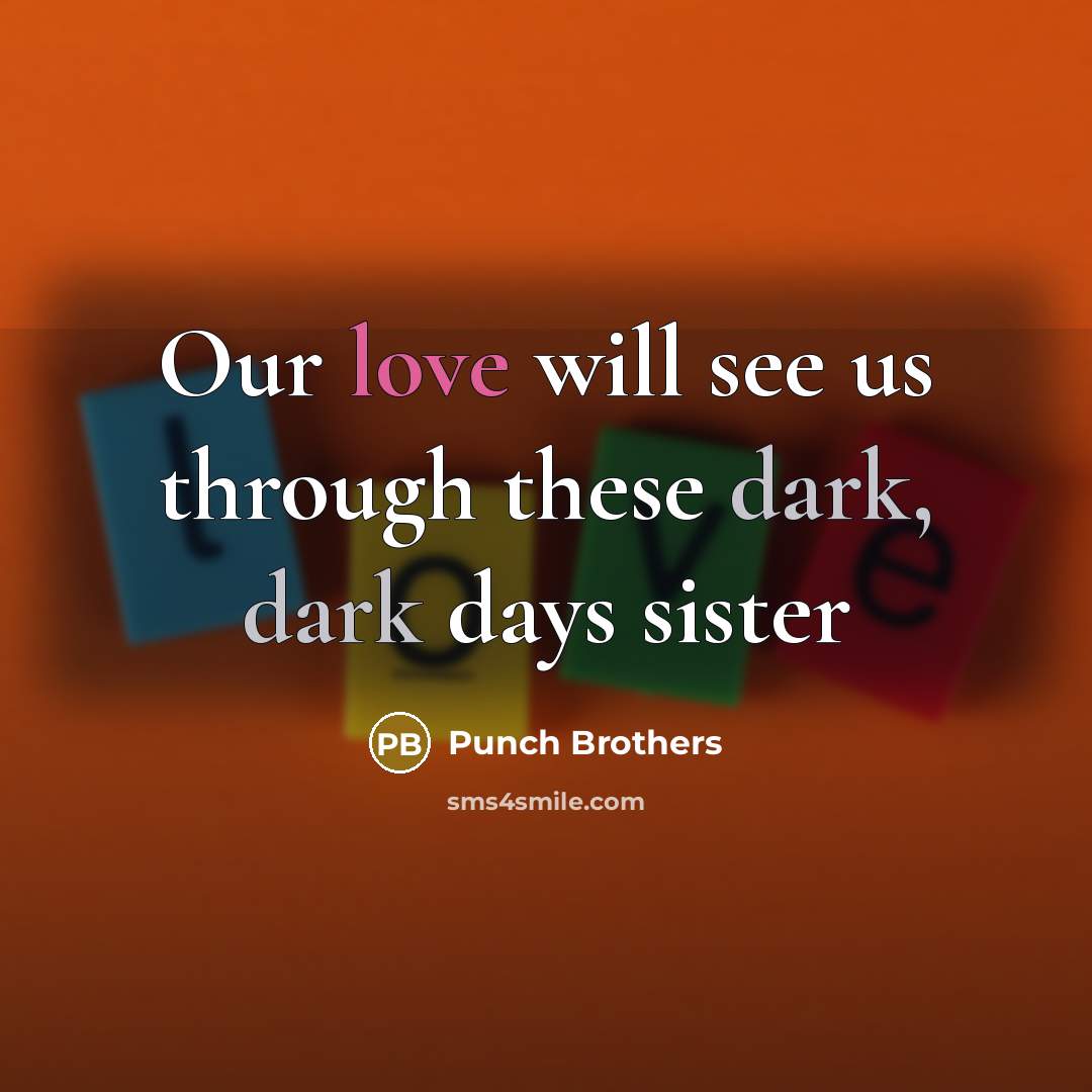 “Our love will see us through these dark, dark days sister” quote by Punch Brothers