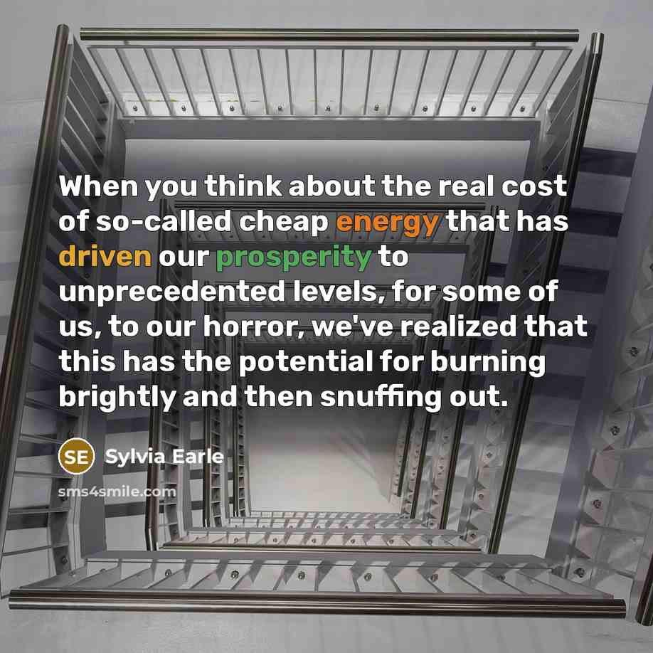 “When you think about the real cost of so-called cheap energy that has driven our prosperity to unprecedented levels, for some of us, to our horror, we've realized that this has the potential for burning brightly and then snuffing out.” quote by Sylvia Earle