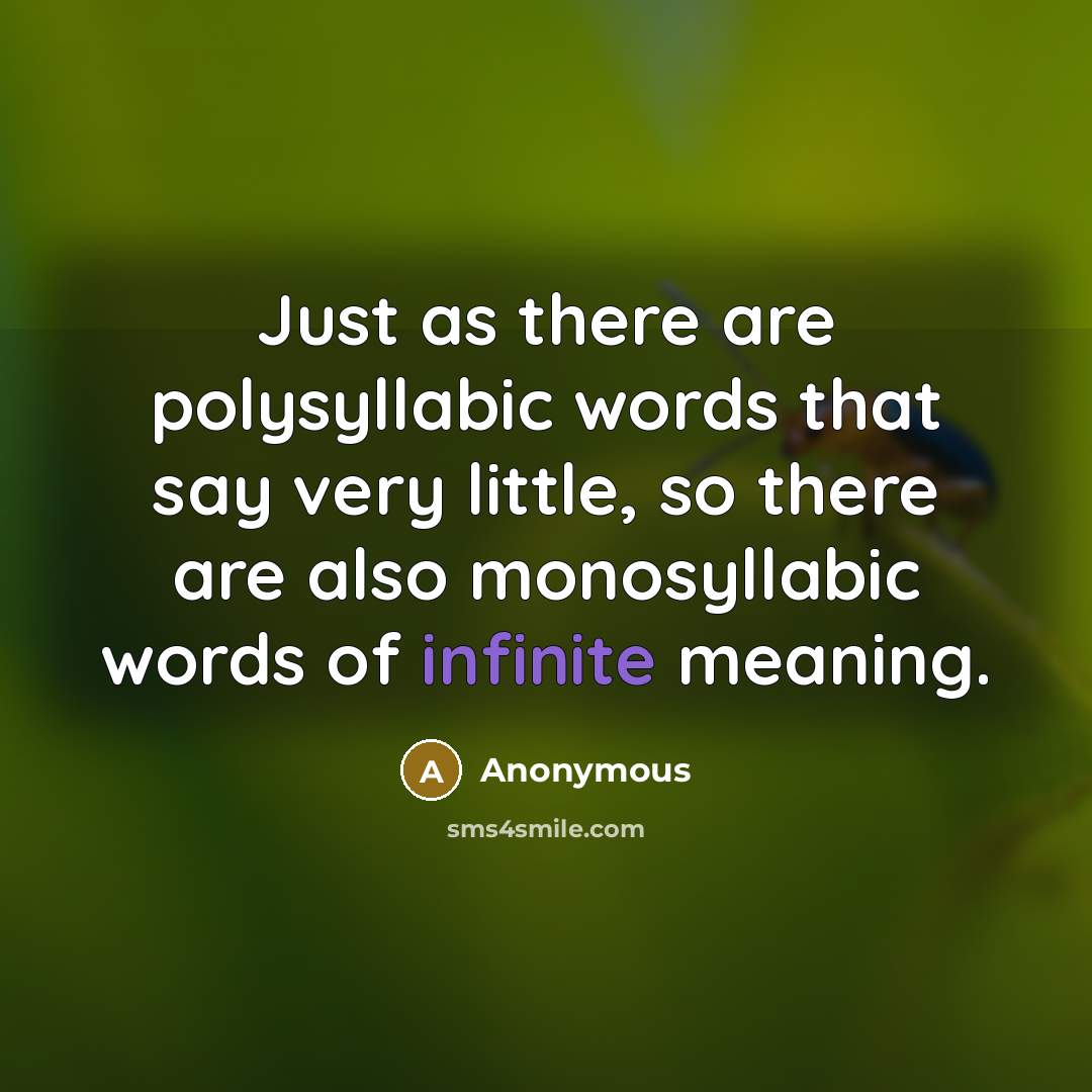 “Just as there are polysyllabic words that say very little, so there are also monosyllabic words of infinite meaning.” quote by Anonymous
