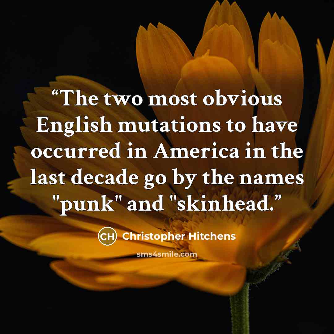 “The two most obvious English mutations to have occurred in America in the last decade go by the names "punk" and "skinhead.” quote by Christopher Hitchens
