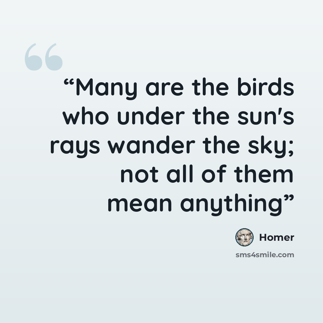 “Many are the birds who under the sun's rays wander the sky; not all of them mean anything” quote by Homer