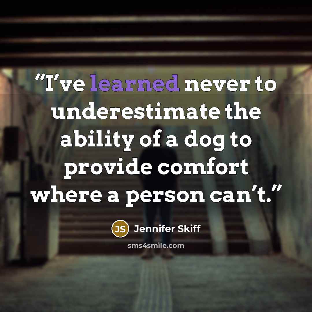 “I’ve learned never to underestimate the ability of a dog to provide comfort where a person can’t.” quote by Jennifer Skiff