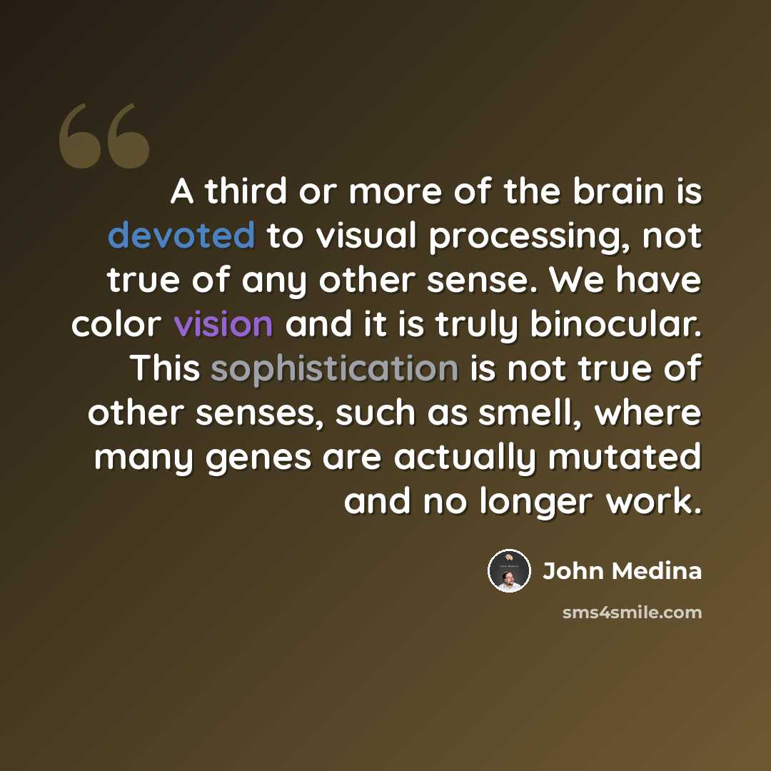 “A third or more of the brain is devoted to visual processing, not true of any other sense. We have color vision and it is truly binocular. This sophistication is not true of other senses, such as smell, where many genes are actually mutated and no longer work.” quote by John Medina