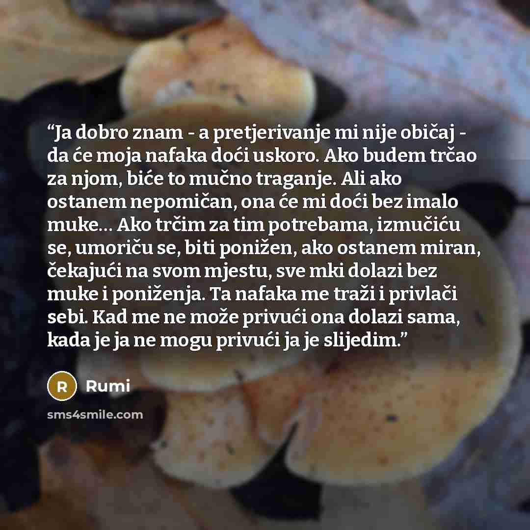 “Ja dobro znam - a pretjerivanje mi nije običaj - da će moja nafaka doći uskoro. Ako budem trčao za njom, biće to mučno traganje. Ali ako ostanem nepomičan, ona će mi doći bez imalo muke… Ako trčim za tim potrebama, izmučiću se, umoriču se, biti ponižen, ako ostanem miran, čekajući na svom mjestu…” quote by Rumi