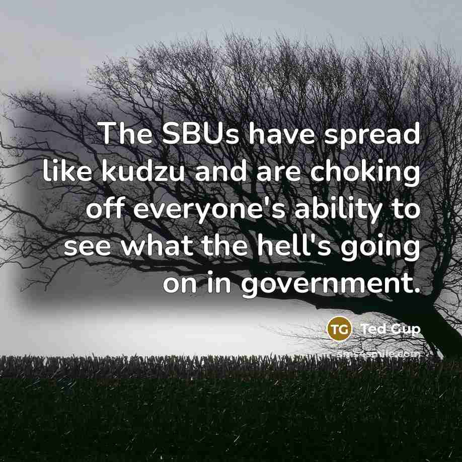 “The SBUs have spread like kudzu and are choking off everyone's ability to see what the hell's going on in government.” quote by Ted Gup