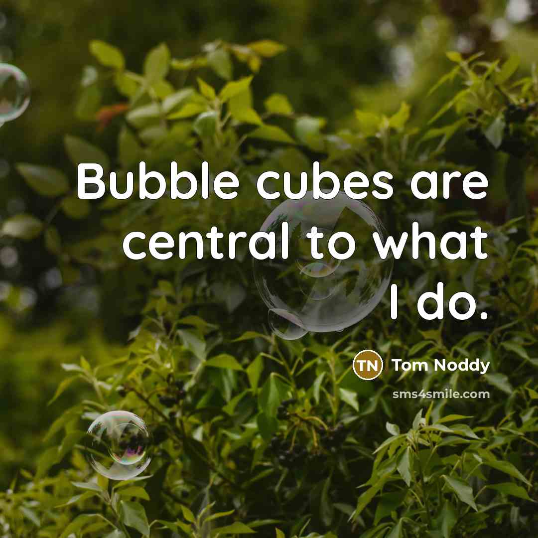 “Bubble cubes are central to what I do.” quote by Tom Noddy