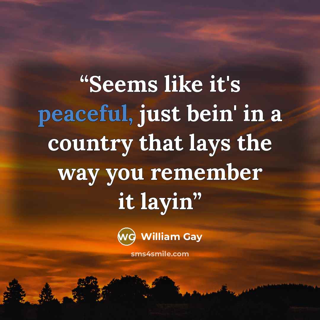 “Seems like it's peaceful, just bein' in a country that lays the way you remember it layin” quote by William Gay