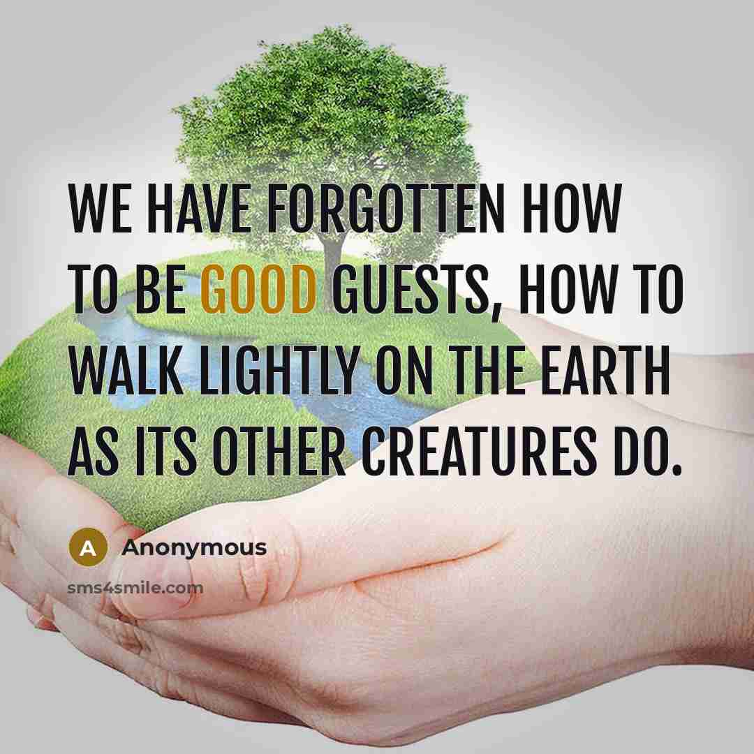 “We have forgotten how to be good guests, how to walk lightly on the earth as its other creatures do.” quote by Anonymous