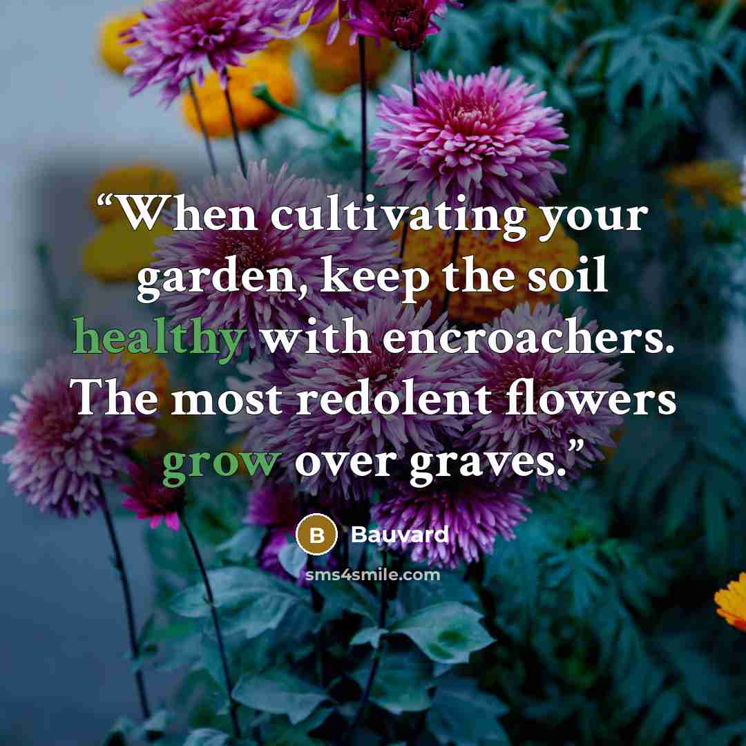 “When cultivating your garden, keep the soil healthy with encroachers. The most redolent flowers grow over graves.” quote by Bauvard