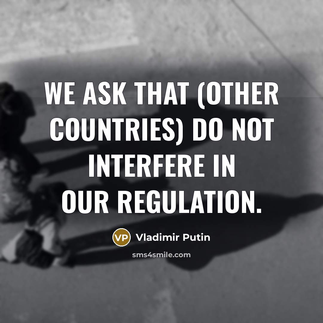 “We ask that (other countries) do not interfere in our regulation.” quote by Vladimir Putin