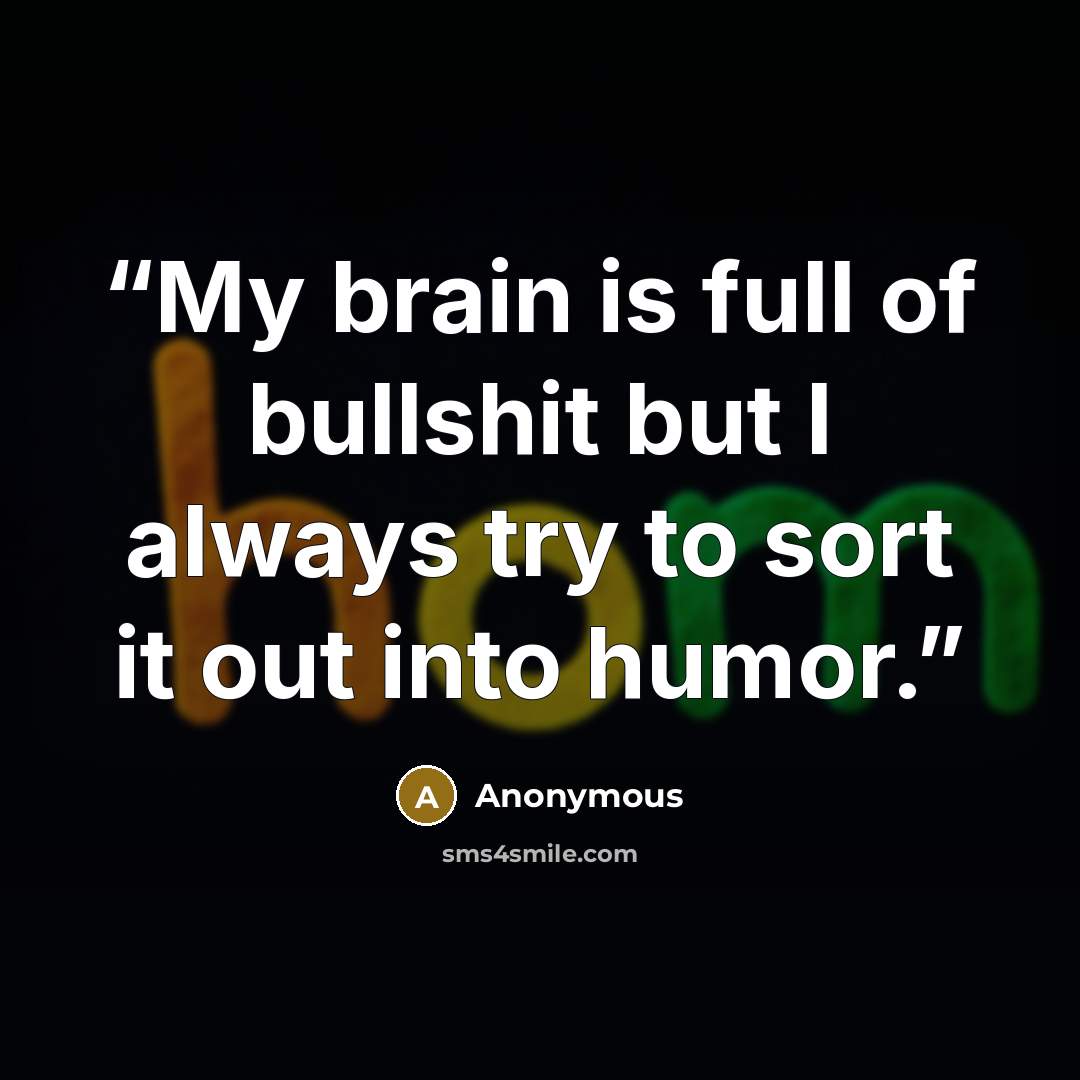 “My brain is full of bullshit but I always try to sort it out into humor.” quote by Anonymous
