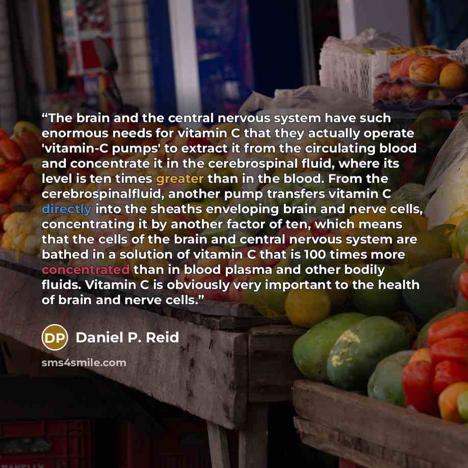 “The brain and the central nervous system have such enormous needs for vitamin C that they actually operate 'vitamin-C pumps' to extract it from the circulating blood and concentrate it in the cerebrospinal fluid, where its level is ten times greater than in the blood. From the cerebrospinalfluid…” quote by Daniel P. Reid