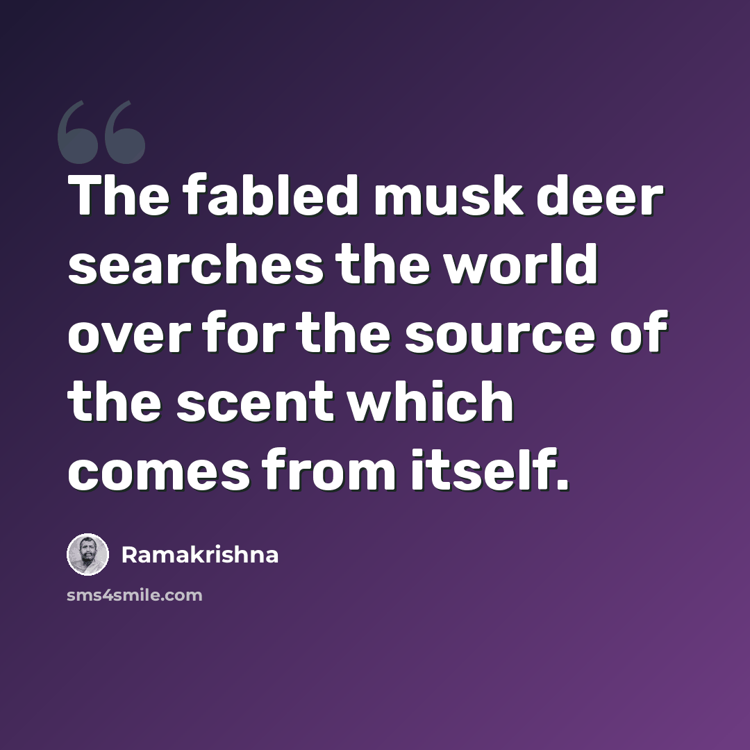 “The fabled musk deer searches the world over for the source of the scent which comes from itself.” quote by Ramakrishna