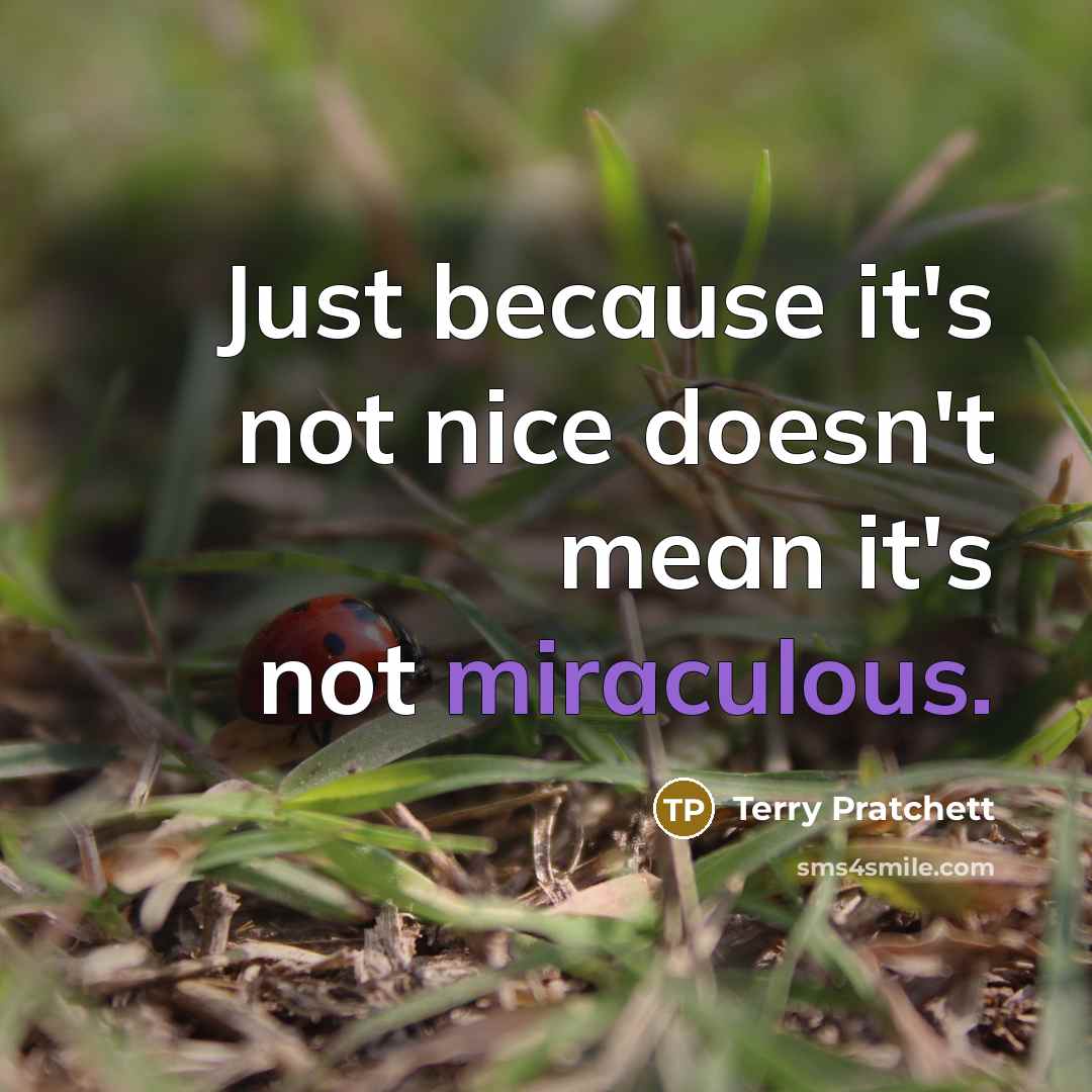 “Just because it's not nice doesn't mean it's not miraculous.” quote by Terry Pratchett