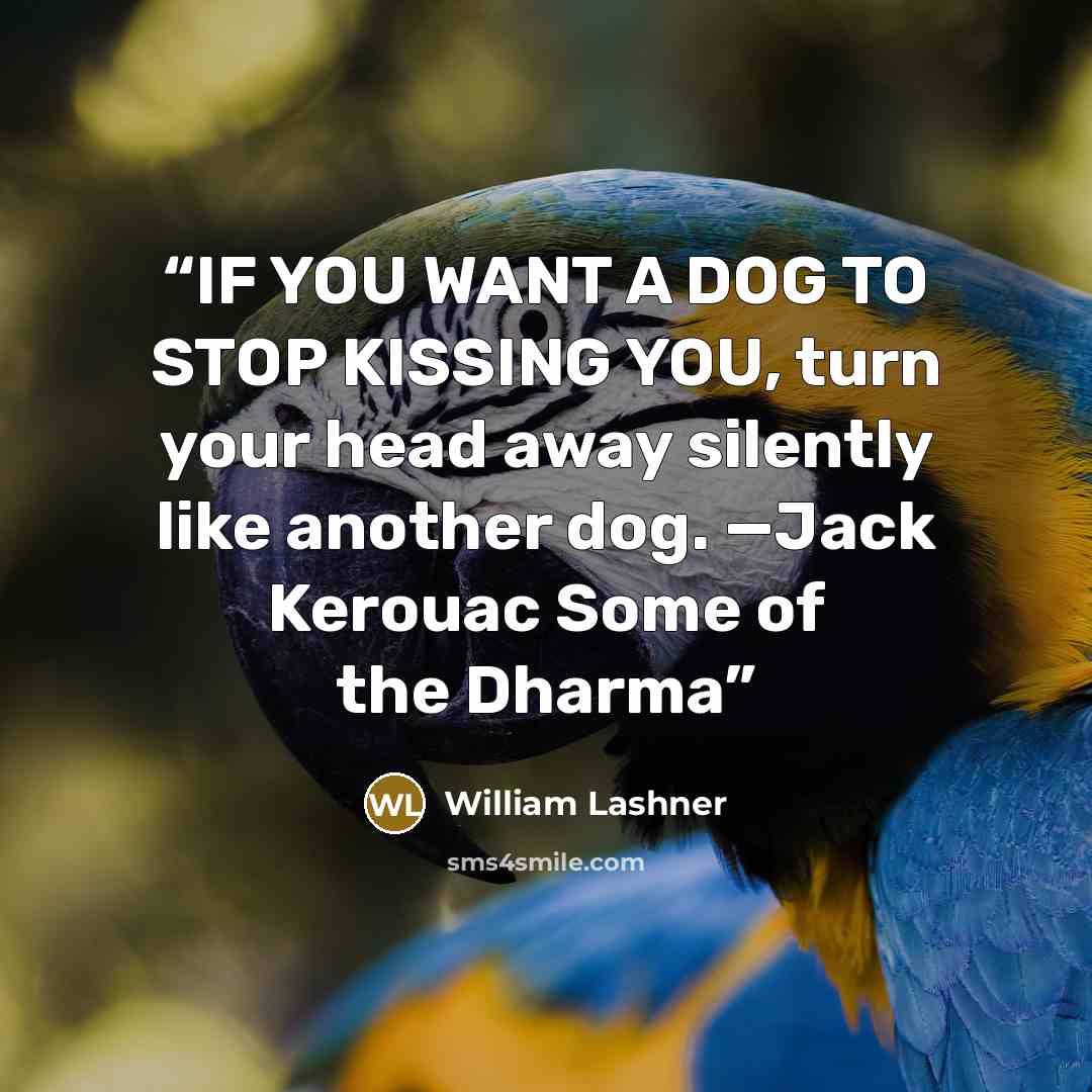 “IF YOU WANT A DOG TO STOP KISSING YOU, turn your head away silently like another dog. —Jack Kerouac Some of the Dharma” quote by William Lashner