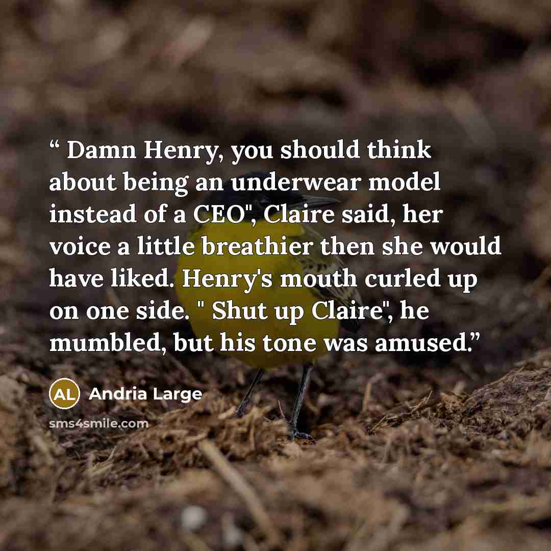 “Damn Henry, you should think about being an underwear model instead of a CEO", Claire said, her voice a little breathier then she would have liked. Henry's mouth curled up on one side. " Shut up Claire", he mumbled, but his tone was amused.” quote by Andria Large