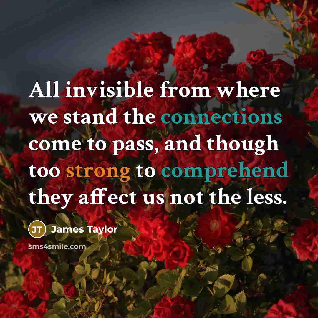 “All invisible from where we stand the connections come to pass, and though too strong to comprehend they affect us not the less.” quote by James Taylor