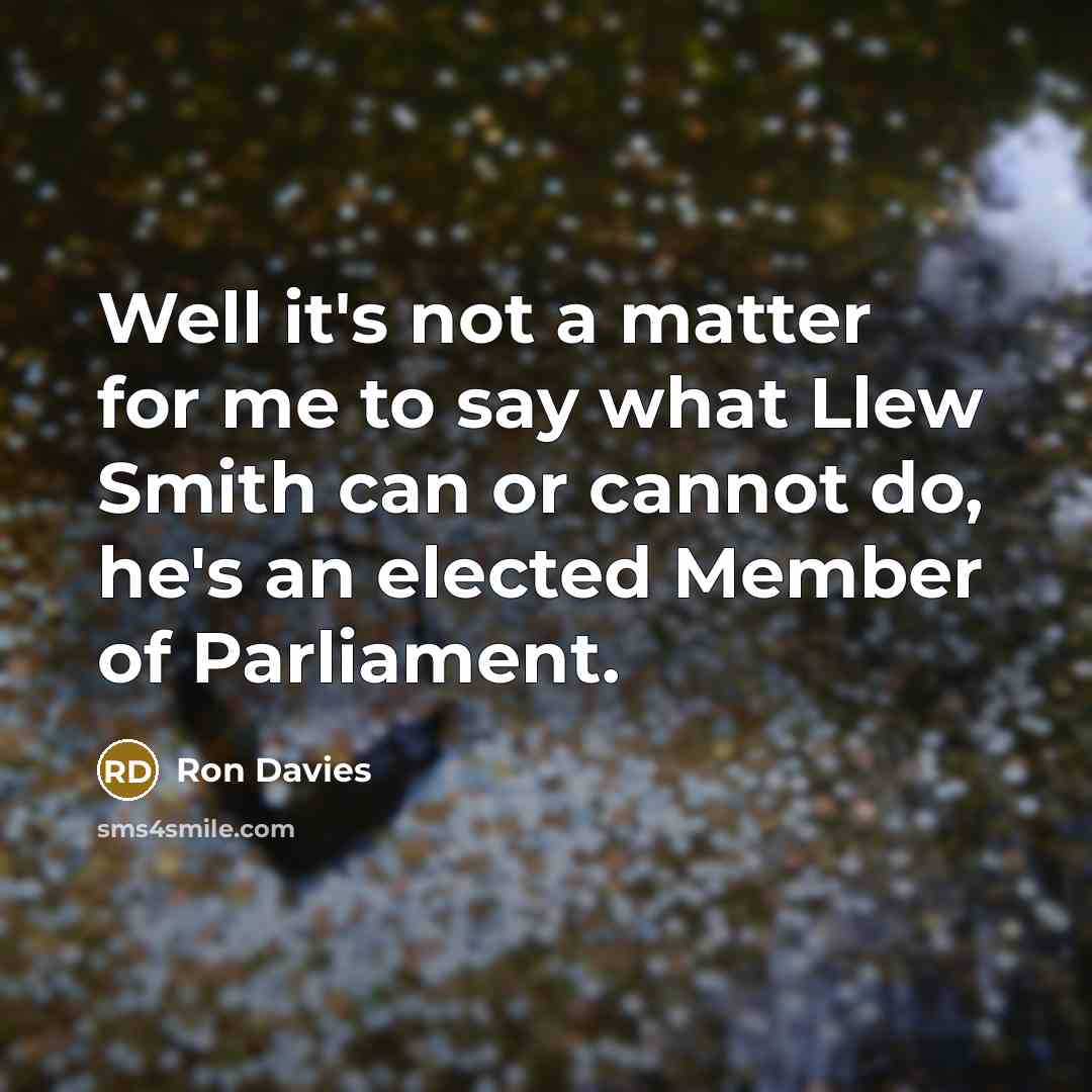 “Well it's not a matter for me to say what Llew Smith can or cannot do, he's an elected Member of Parliament.” quote by Ron Davies