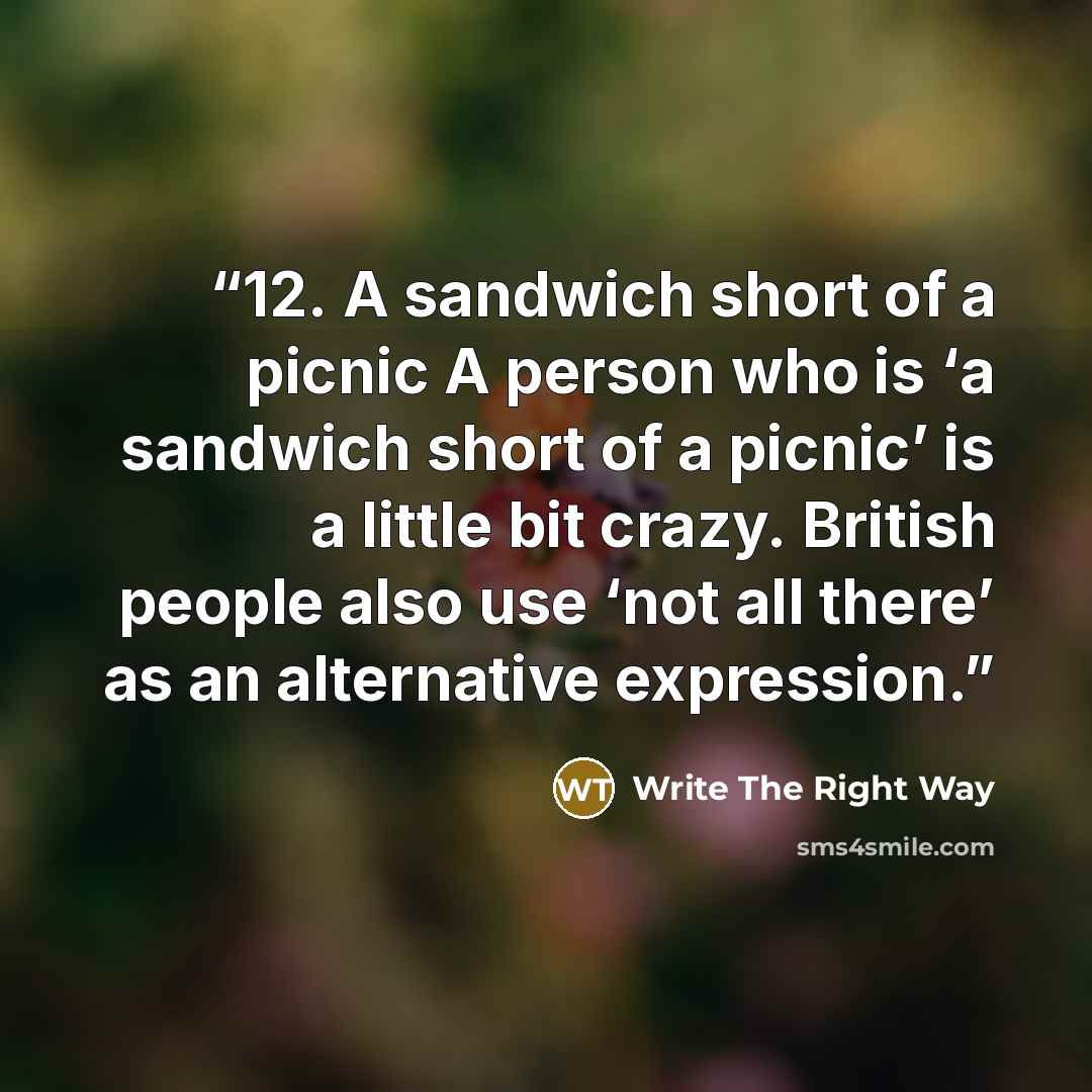 “12. A sandwich short of a picnic A person who is ‘a sandwich short of a picnic’ is a little bit crazy. British people also use ‘not all there’ as an alternative expression.” quote by Write The Right Way