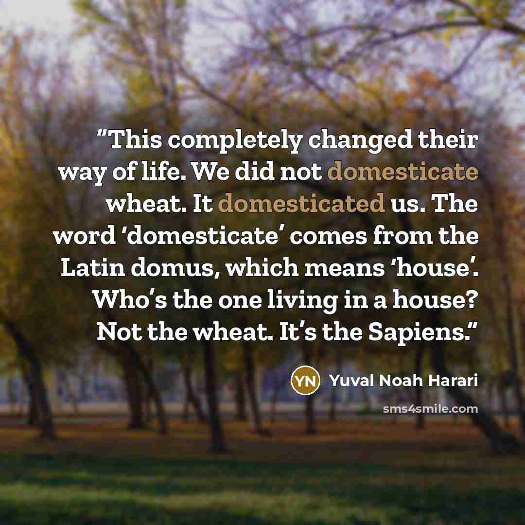 “This completely changed their way of life. We did not domesticate wheat. It domesticated us. The word ‘domesticate’ comes from the Latin domus, which means ‘house’. Who’s the one living in a house? Not the wheat. It’s the Sapiens.” quote by Yuval Noah Harari