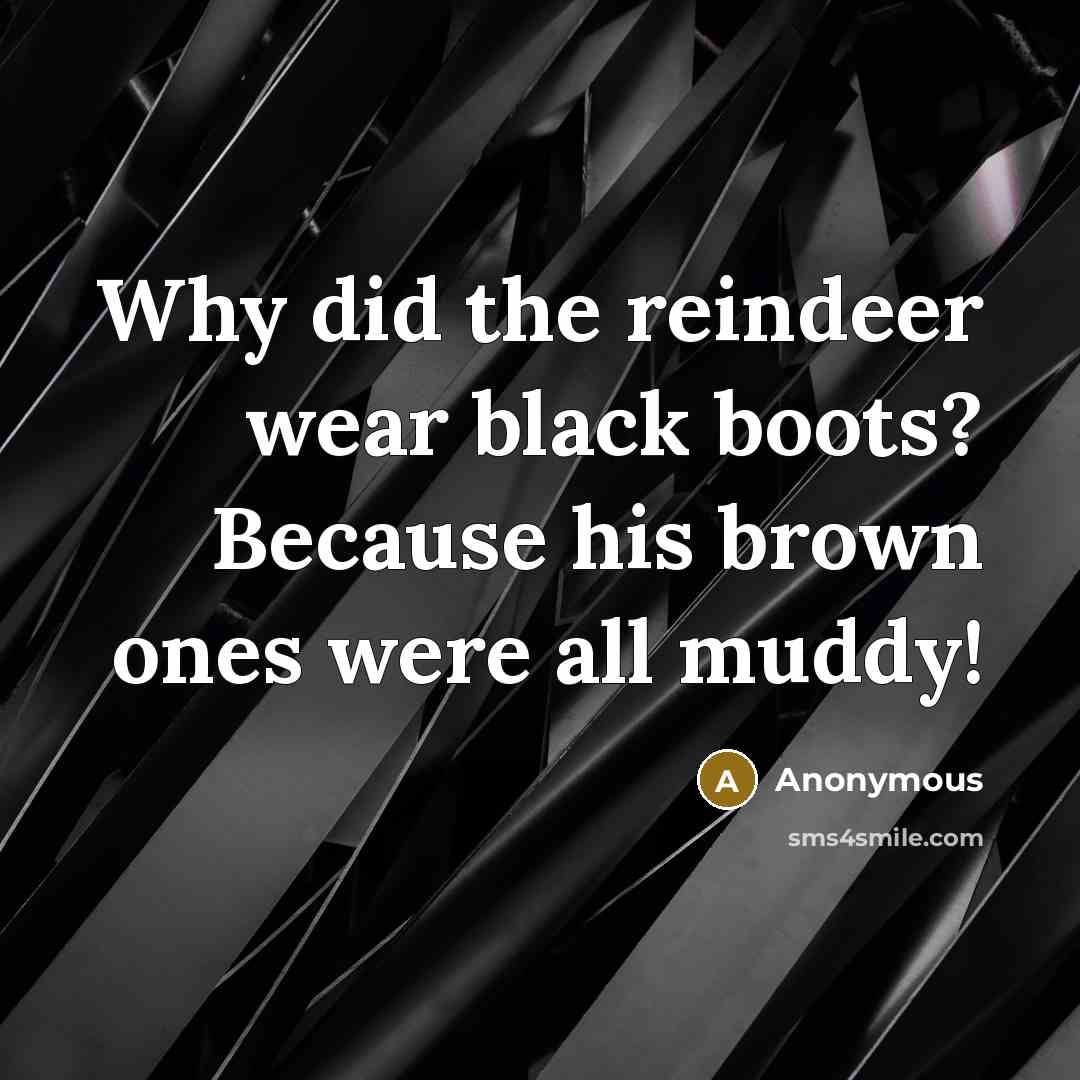 “Why did the reindeer wear black boots? Because his brown ones were all muddy!” quote by Anonymous