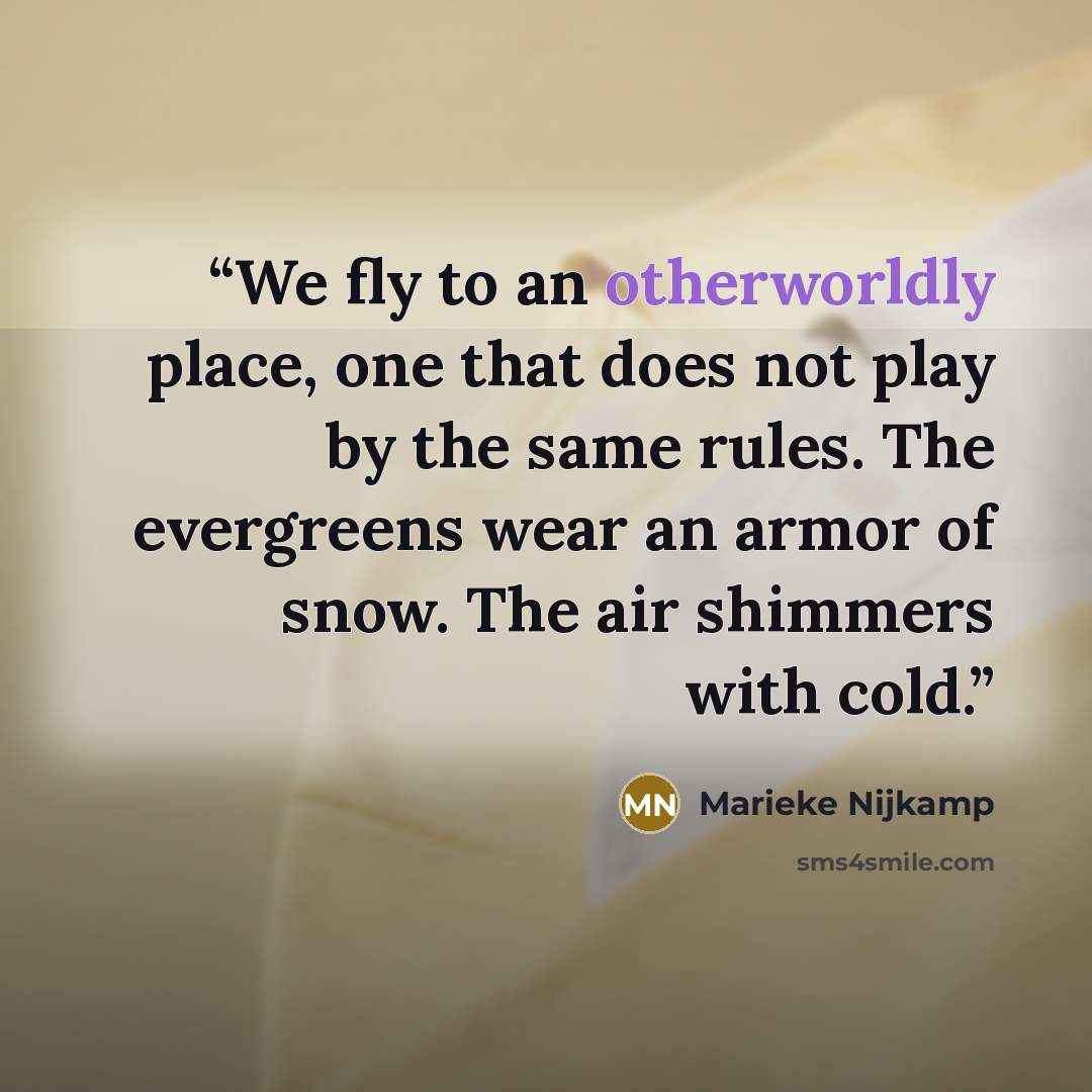 “We fly to an otherworldly place, one that does not play by the same rules. The evergreens wear an armor of snow. The air shimmers with cold.” quote by Marieke Nijkamp