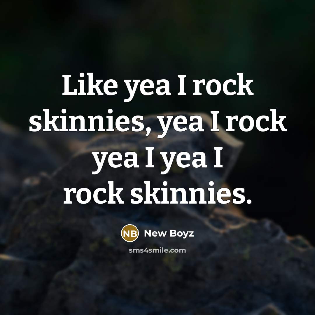 “Like yea I rock skinnies, yea I rock yea I yea I rock skinnies.” quote by New Boyz
