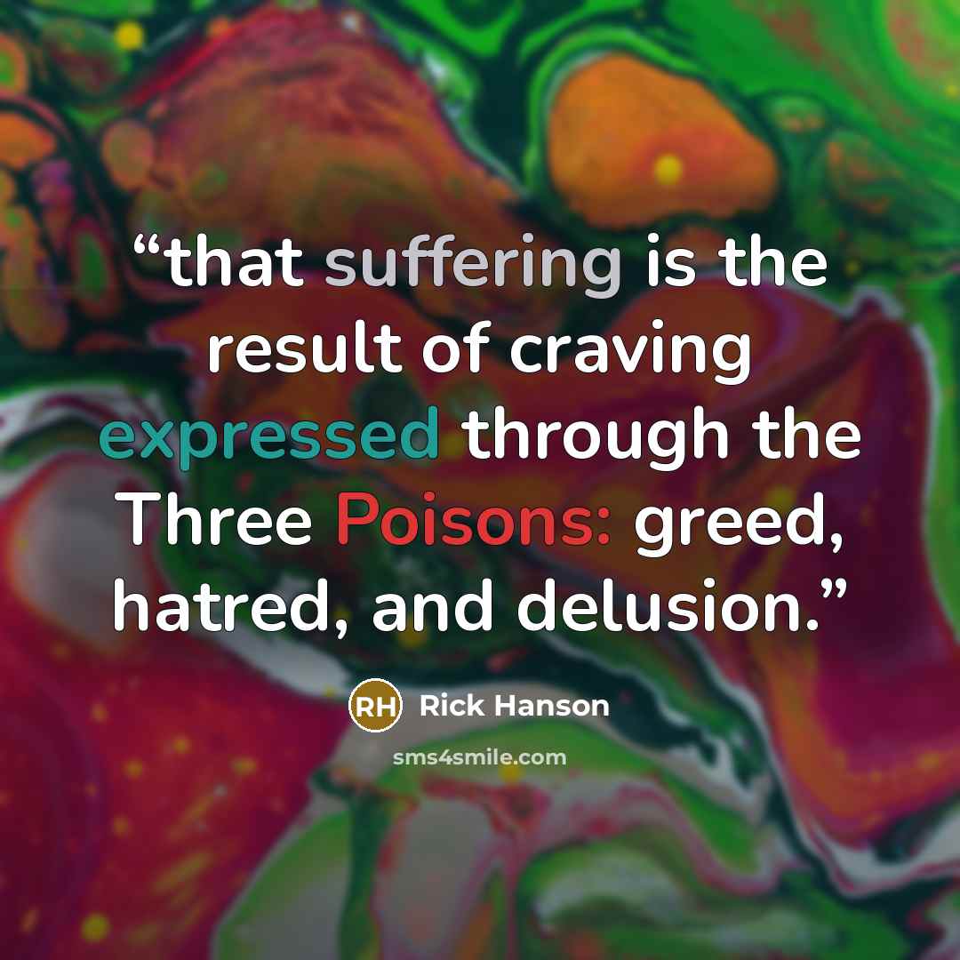 “that suffering is the result of craving expressed through the Three Poisons: greed, hatred, and delusion.” quote by Rick Hanson