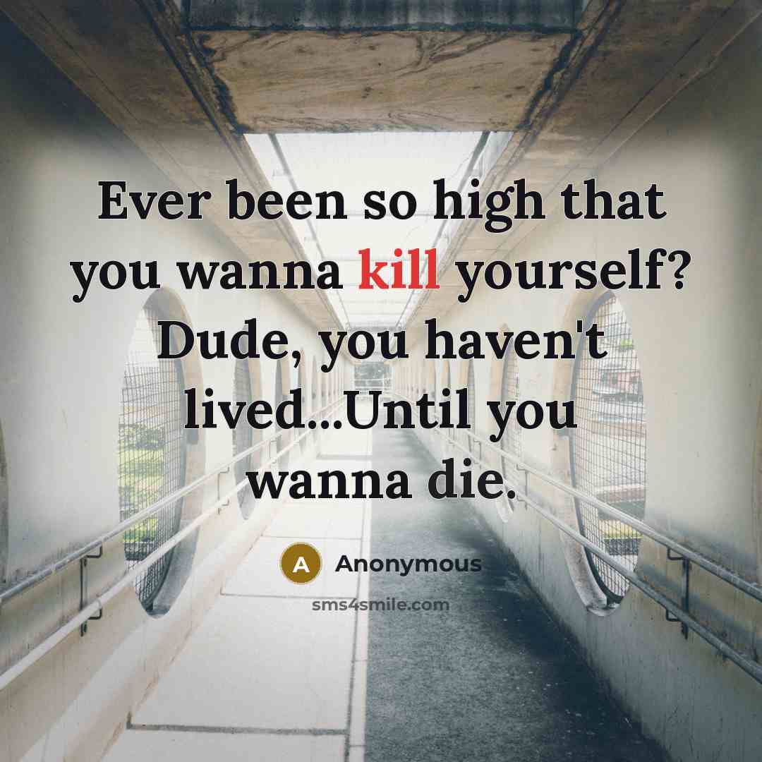 “Ever been so high that you wanna kill yourself? Dude, you haven't lived...Until you wanna die.” quote by Anonymous