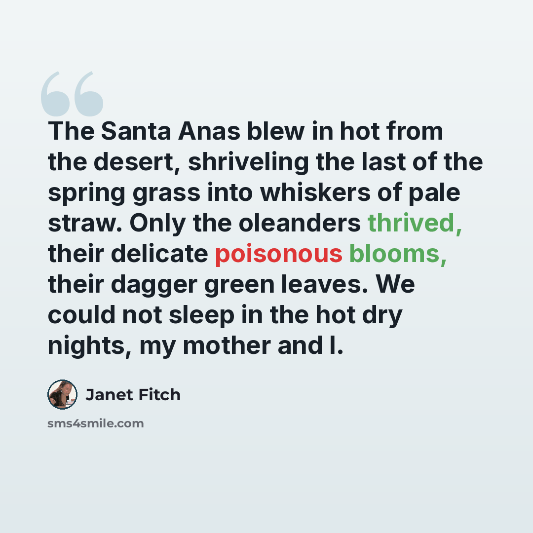 “The Santa Anas blew in hot from the desert, shriveling the last of the spring grass into whiskers of pale straw. Only the oleanders thrived, their delicate poisonous blooms, their dagger green leaves. We could not sleep in the hot dry nights, my mother and I.” quote by Janet Fitch