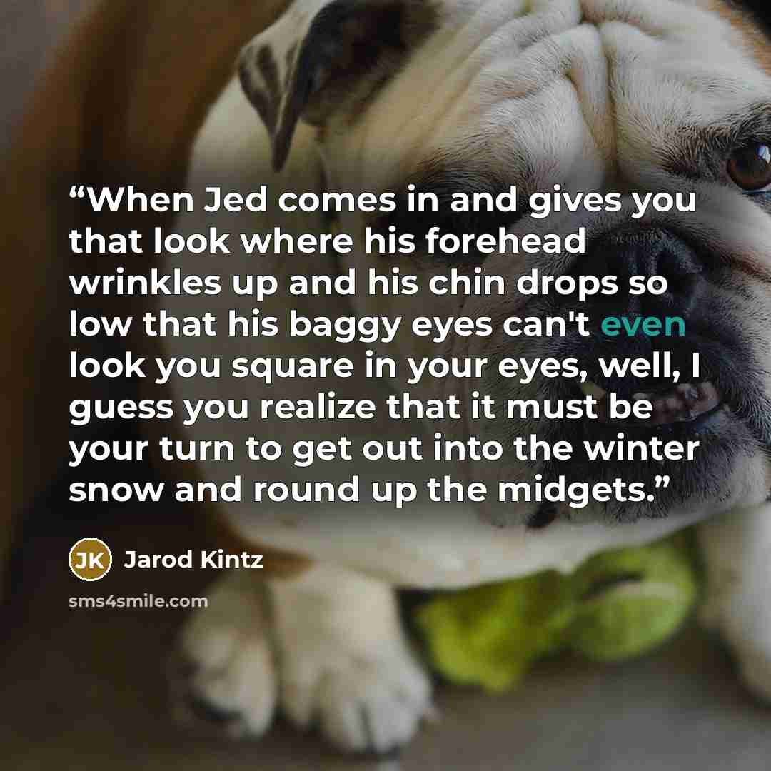 “When Jed comes in and gives you that look where his forehead wrinkles up and his chin drops so low that his baggy eyes can't even look you square in your eyes, well, I guess you realize that it must be your turn to get out into the winter snow and round up the midgets.” quote by Jarod Kintz