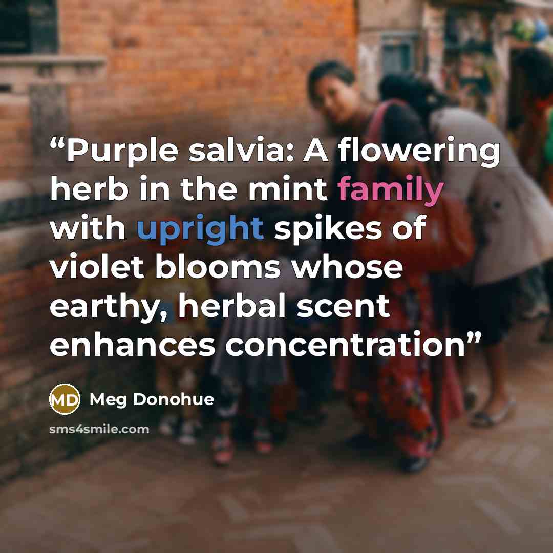 “Purple salvia: A flowering herb in the mint family with upright spikes of violet blooms whose earthy, herbal scent enhances concentration” quote by Meg Donohue