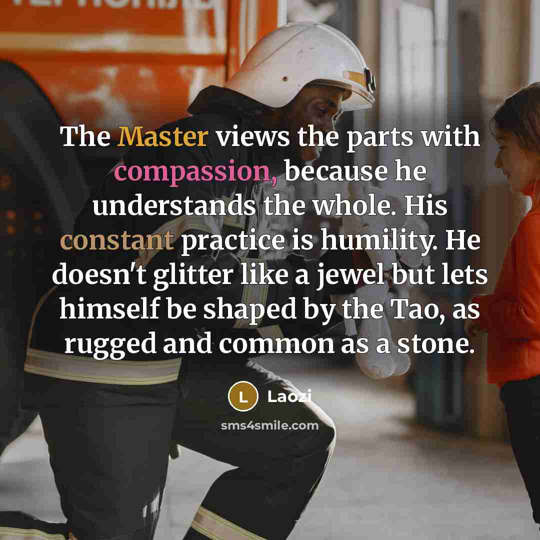 “The Master views the parts with compassion, because he understands the whole. His constant practice is humility. He doesn't glitter like a jewel but lets himself be shaped by the Tao, as rugged and common as a stone.” quote by Laozi