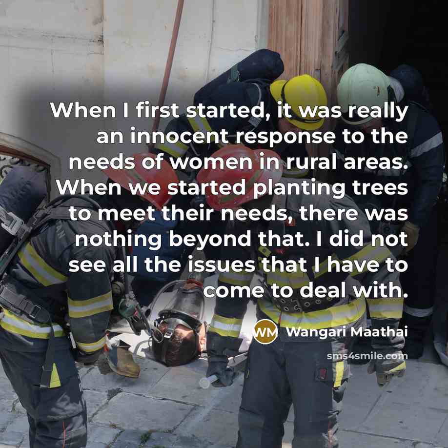 “When I first started, it was really an innocent response to the needs of women in rural areas. When we started planting trees to meet their needs, there was nothing beyond that. I did not see all the issues that I have to come to deal with.” quote by Wangari Maathai