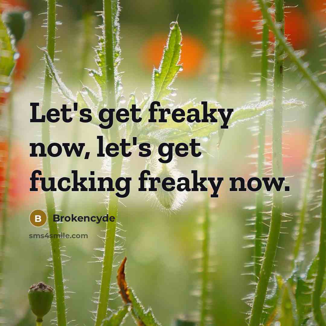 “Let's get freaky now, let's get fucking freaky now.” quote by Brokencyde