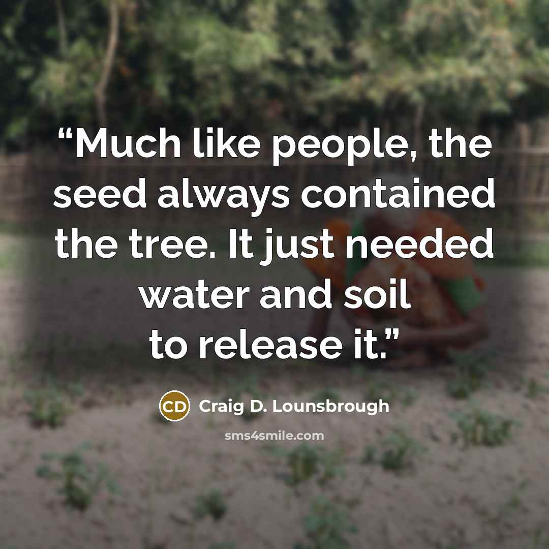 “Much like people, the seed always contained the tree. It just needed water and soil to release it.” quote by Craig D. Lounsbrough