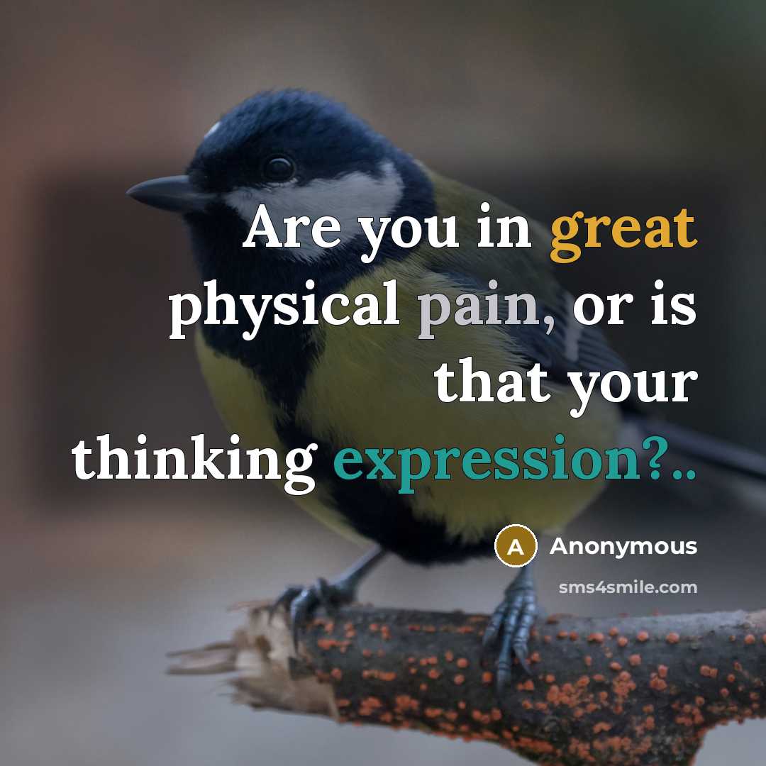 “Are you in great physical pain, or is that your thinking expression?..” quote by Anonymous