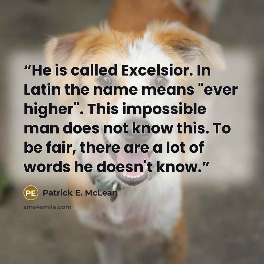 “He is called Excelsior. In Latin the name means "ever higher". This impossible man does not know this. To be fair, there are a lot of words he doesn't know.” quote by Patrick E. McLean