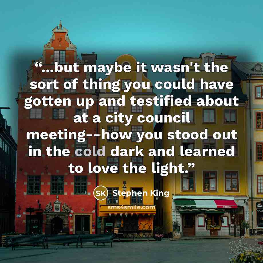 “...but maybe it wasn't the sort of thing you could have gotten up and testified about at a city council meeting--how you stood out in the cold dark and learned to love the light.” quote by Stephen King