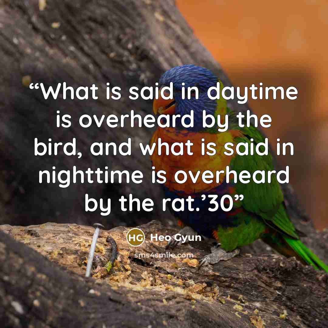 “What is said in daytime is overheard by the bird, and what is said in nighttime is overheard by the rat.’30” quote by Heo Gyun