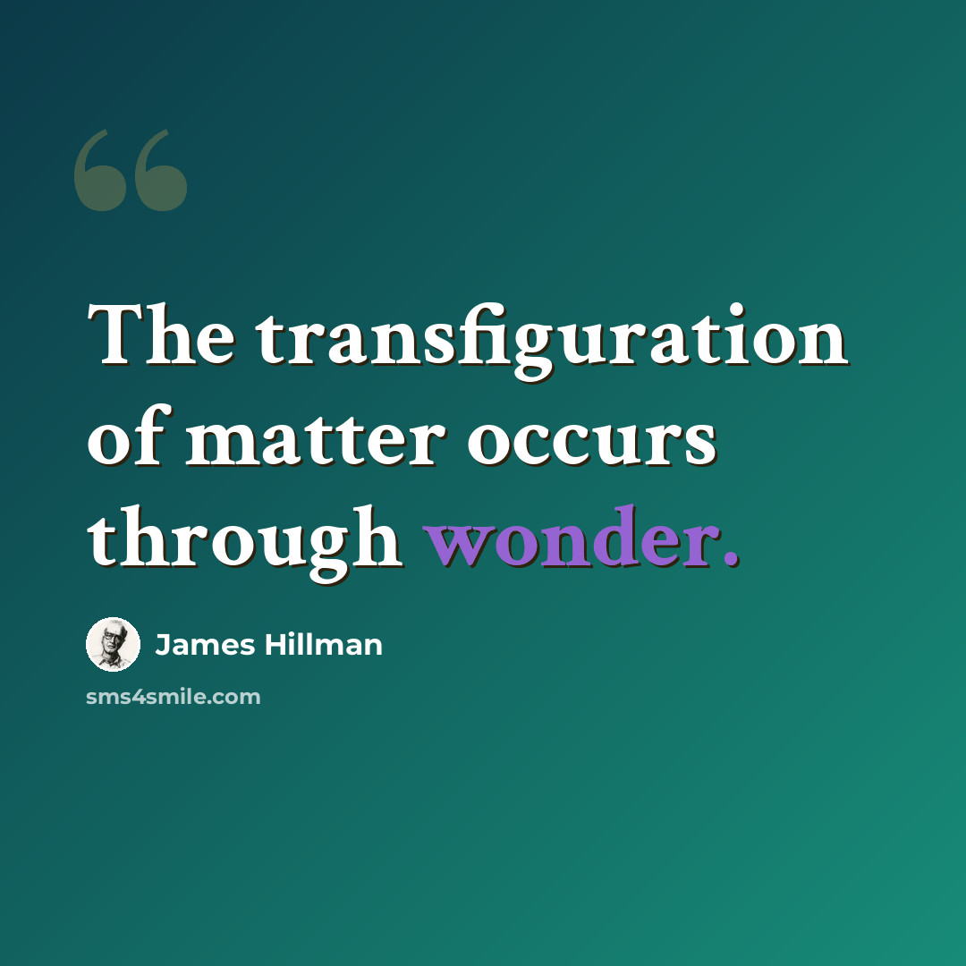 “The transfiguration of matter occurs through wonder.” quote by James Hillman