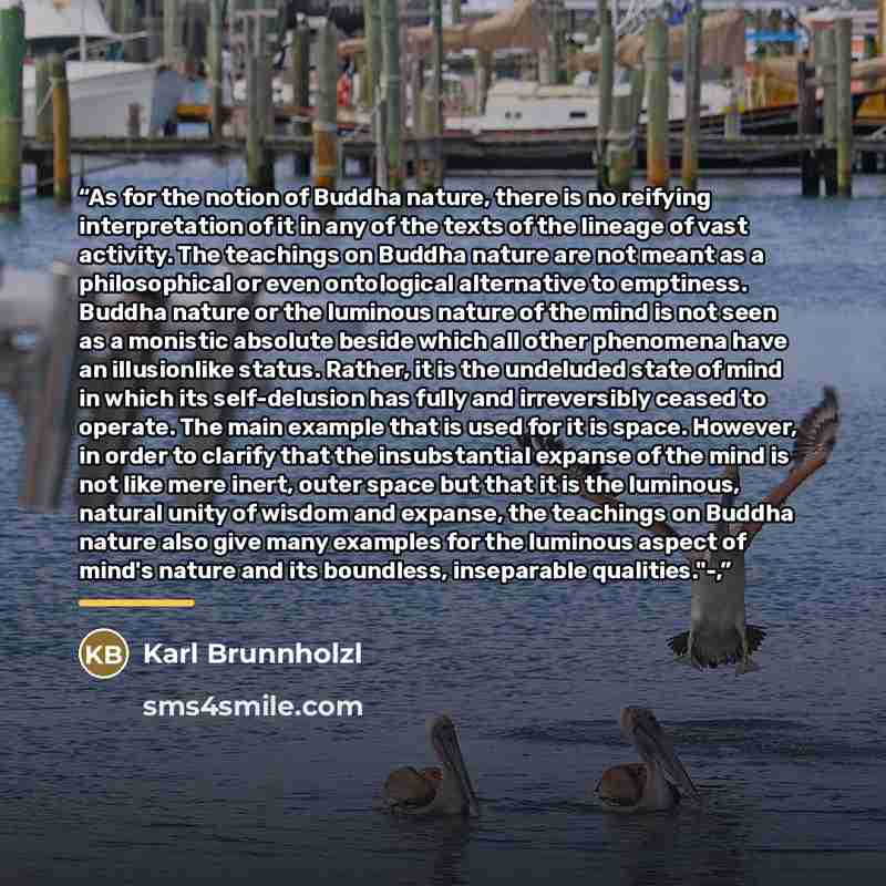 “As for the notion of Buddha nature, there is no reifying interpretation of it in any of the texts of the lineage of vast activity. The teachings on Buddha nature are not meant as a philosophical or even ontological alternative to emptiness. Buddha nature or the luminous nature of the mind is not…” quote by Karl Brunnholzl