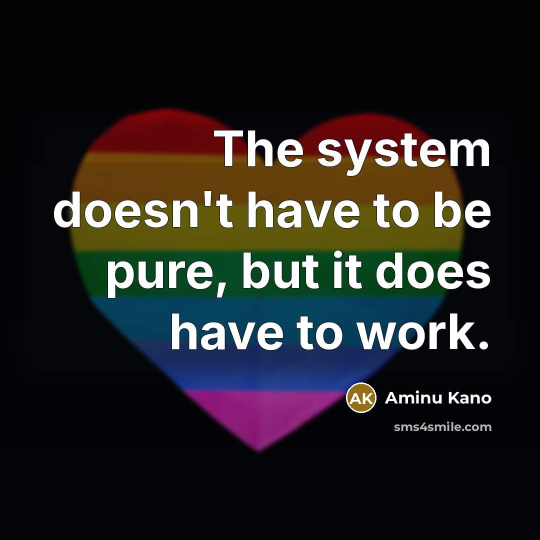“The system doesn't have to be pure, but it does have to work.” quote by Aminu Kano