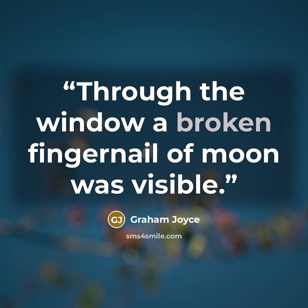 “Through the window a broken fingernail of moon was visible.” quote by Graham Joyce